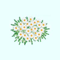 生花の無料サービスのイメージ画像